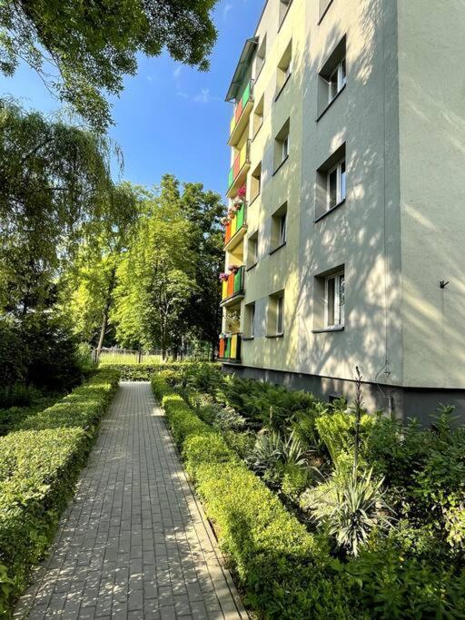 Sunny Apartment In Silesia Czeladź Buitenkant foto